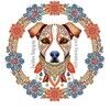 bohohippiepet